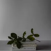 Buku anak